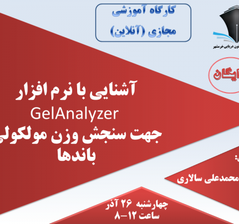 آشنایی با نرم افزار  GelAnalyzer جهت سنجش وزن مولکولی باندها